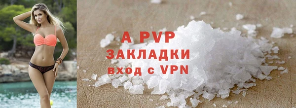 шишки Балахна