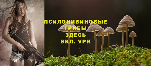 шишки Балахна